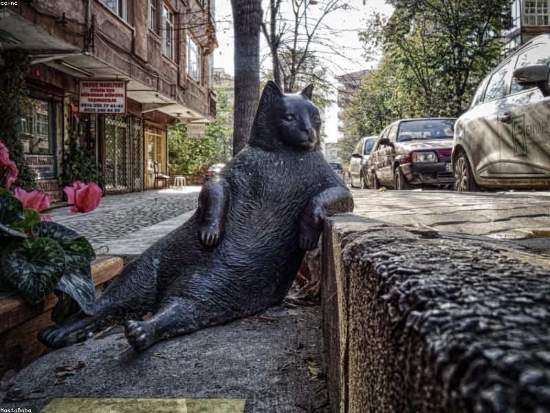 Tertemiz Bosch Beyaz Cam Ankastre Fırın - Ev yenilediğimiz için!
